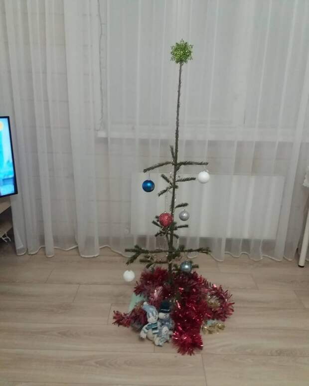 kartinok-veselyh-interesnyh-kartinki-smeshnye-kartinki-fotoprikoly