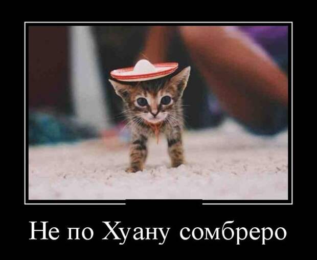 Веселые воскресные демотиваторы для улыбок (11 фото) Веселые воскресные демотиваторы для улыбок (11 фото)