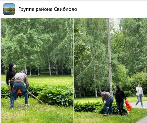 Сотрудники «Жилищника» привели в порядок цветы на Капустинском пруду