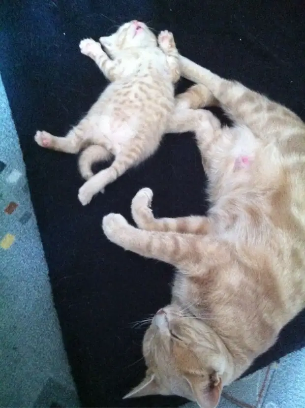 ����������: 50 ��������� ����� � �� �������������� ����-����� �46 - BigPicture.ru