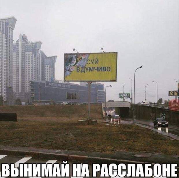 Подборка картинок и фотографий с надписями из жизни (11 фото)