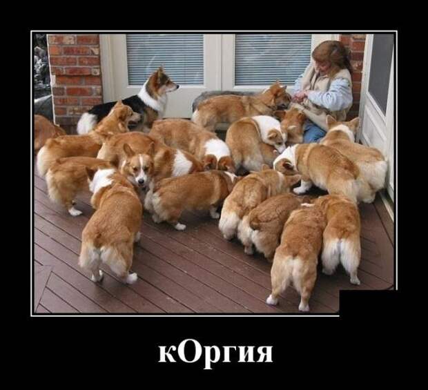 www.vsyako.net