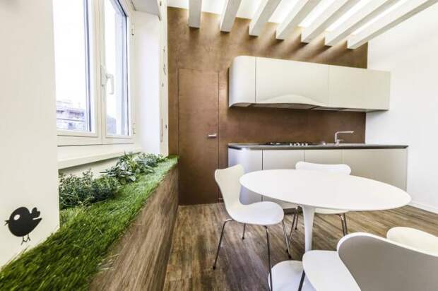 Выстеленный на подоконнике газон с растениями будет круто смотреться на кухне. 