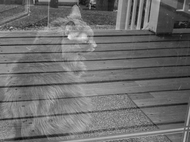 amazing-reflections-optical-illusions-53-58380855dd466__700