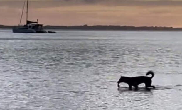 Кадр из видео Sarah Isobel