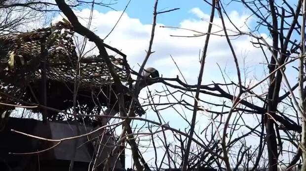 "Гвоздики" уничтожили сеть укрепленных опорников ВСУ в Запорожской области