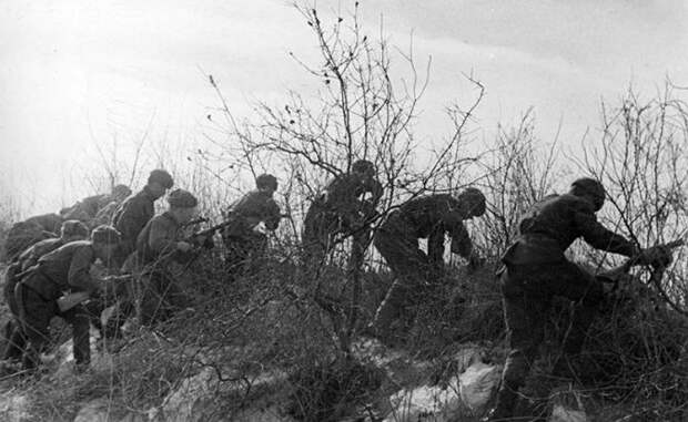 Между орденом и ротой штрафников: «Немец пошел в наступление, и это стало для меня в тот день хорошей новостью»