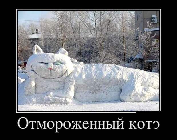 Демотиваторы (30 фото)