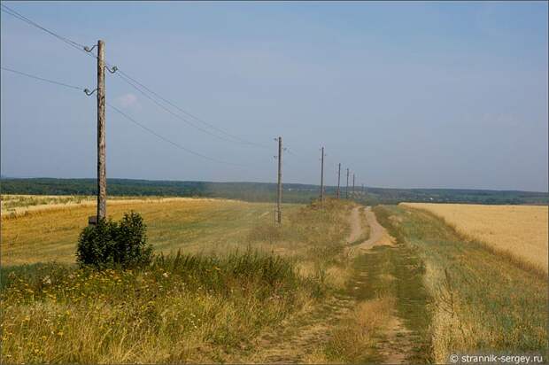 полевая дорога поле столбы у дороги