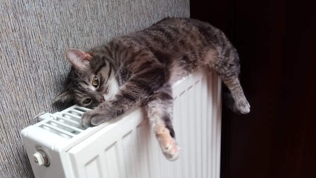 2DwQclA4CdA (700x393, 221Kb)