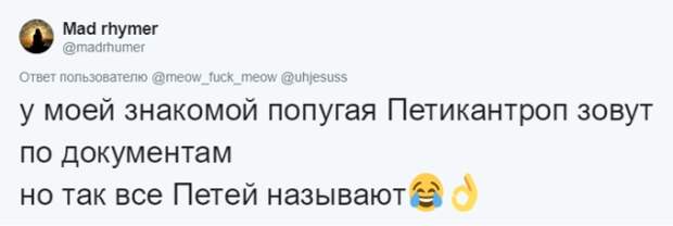 Кто во что горазд, или как правильно назвать своего питомца Кто во что горазд, или как правильно назвать своего питомца