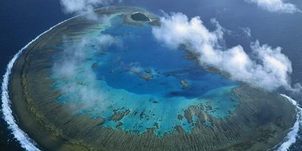Большой Барьерный риф стремительно гибнет история, факты