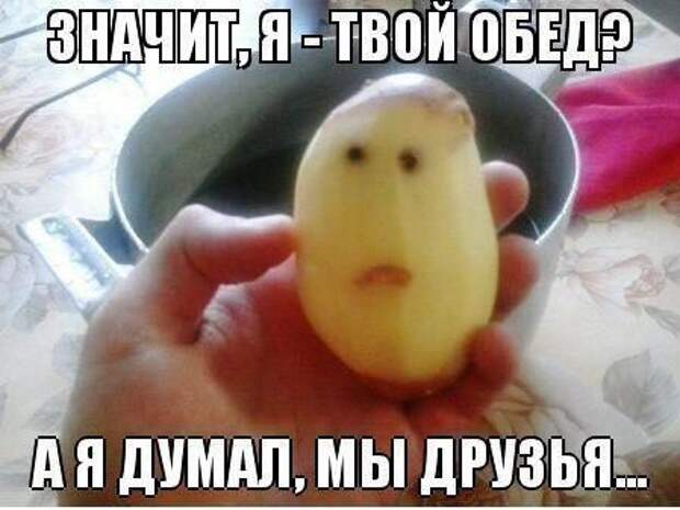 Смешное - невероятное