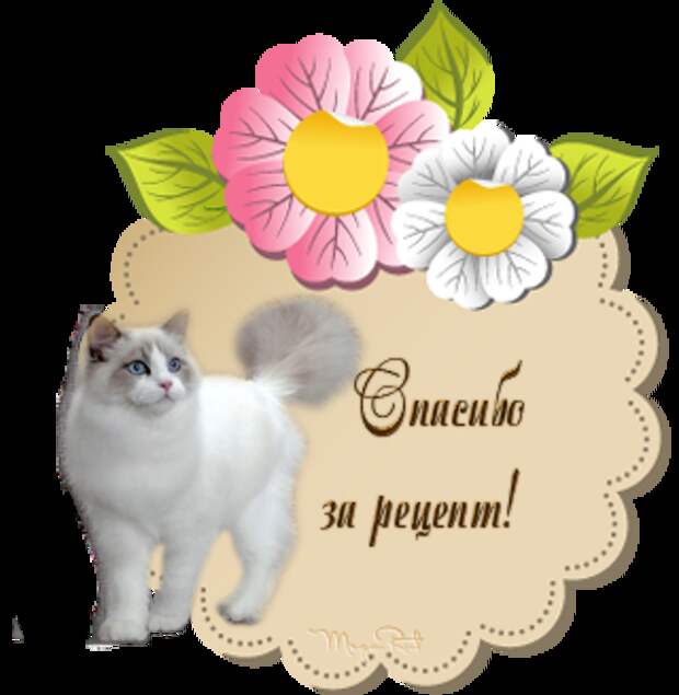 5395752_ (320x328, 127Kb)