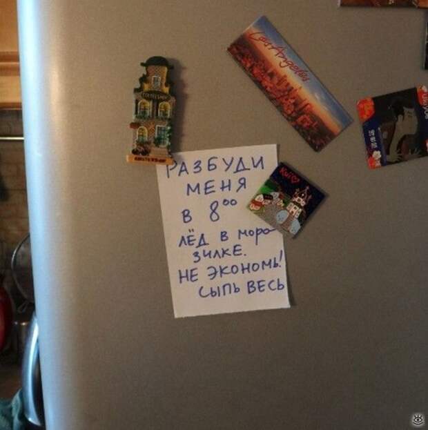 Смешные записки на холодильнике 3