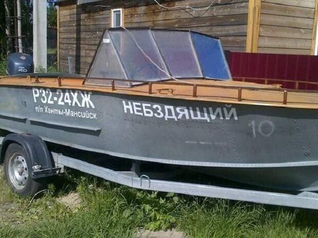 Подборка смешных картинок и фото (38 шт)