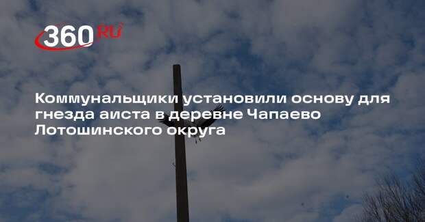 В Лотошине аистам установят новое гнездо