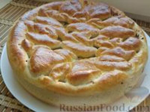 Фото к рецепту: Пирог «Мясной»