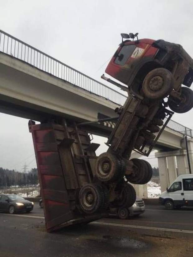 Прикольные картинки Прикольные картинки