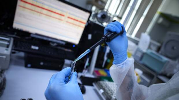 В Китае обнаружили антитело, которое способно нейтрализовать разные штаммы коронавируса