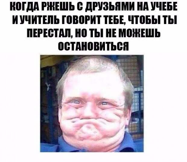 Приколы
