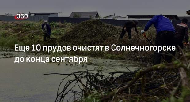 Еще 10 прудов очистят в Солнечногорске до конца сентября