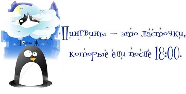 -Улыбнись-ка! Прикольные статусы и цитаты в картинках.