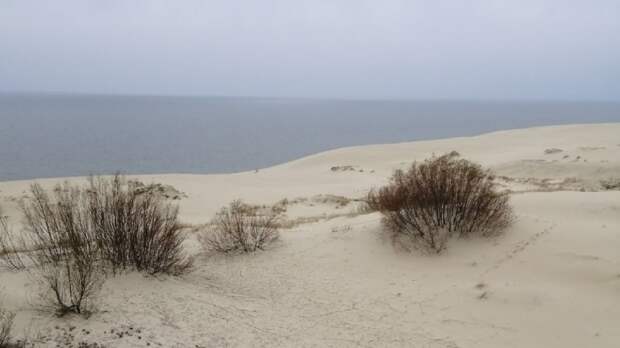 Туристы пожаловались на антисанитарию в туалетах Куршской косы