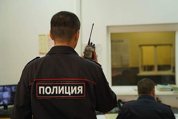 МВД отказалось от идеи привлекать к ответственности за оскорбление полицейских в интернете