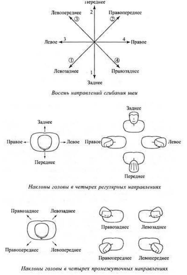 Восемь направлений. Триначальная последовательность эмоций. Твист для шеи упражнения. Триначальная последовательность меридианов. Триначальная модель.