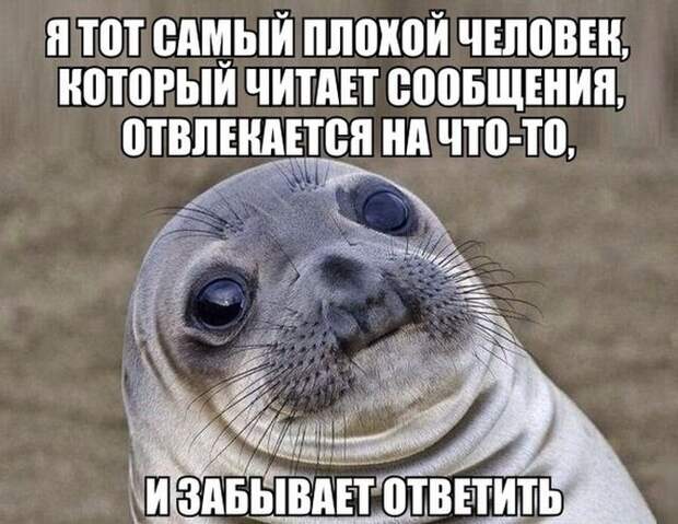 Прикольные картинки