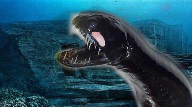Картинки по запросу Подводное чудовище держит в страхе побережье Крыма!