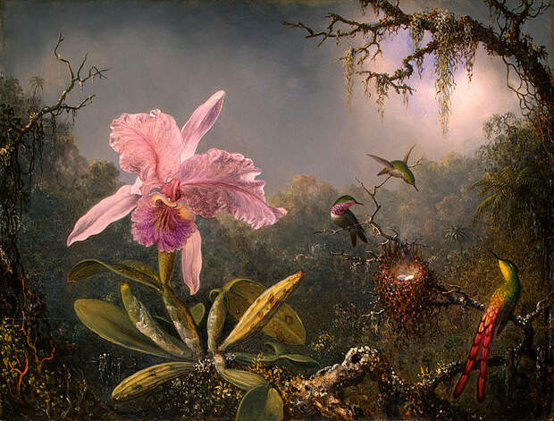 File:Martin Johnson Heade-Cattleya Orchid and Three Brazilian Hummingbirds.jpg