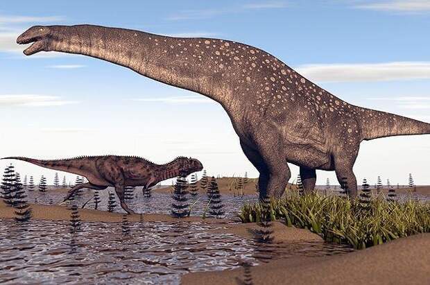 Как выглядели яйца динозавров: факты о жизни миллион лет до нашей эры