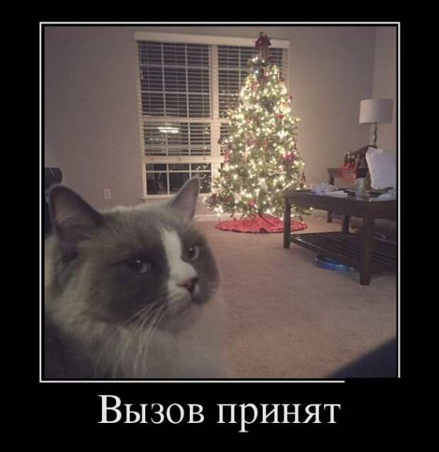 Демотиваторы Демотиваторы
