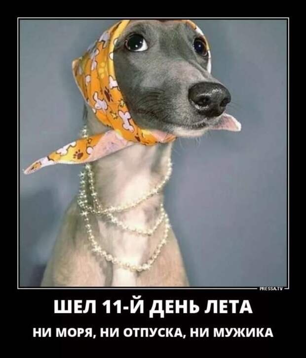 Прикольные демотиваторы с надписями. Подборка chert-poberi-dem-chert-poberi-dem-31530217102020-9 картинка chert-poberi-dem-31530217102020-9