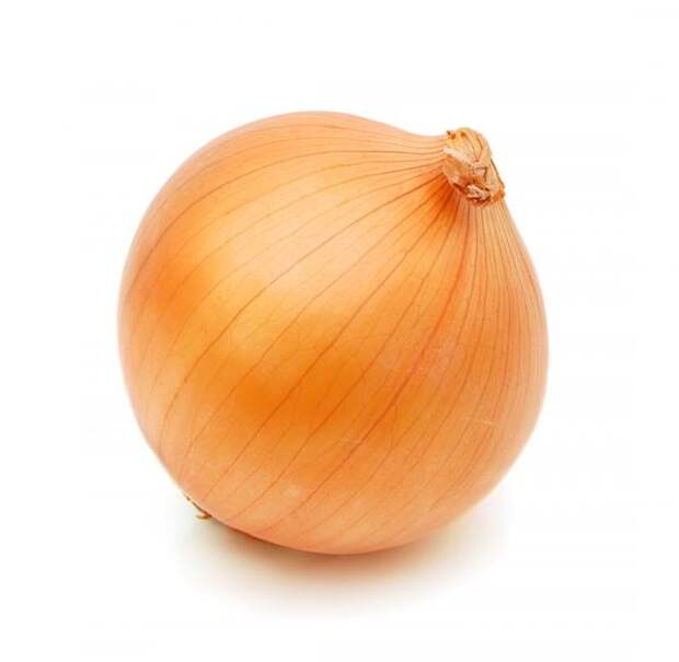 лук лук