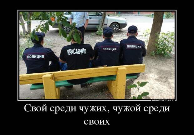 Подборка позитивных и веселых демотиваторов (10 фото)