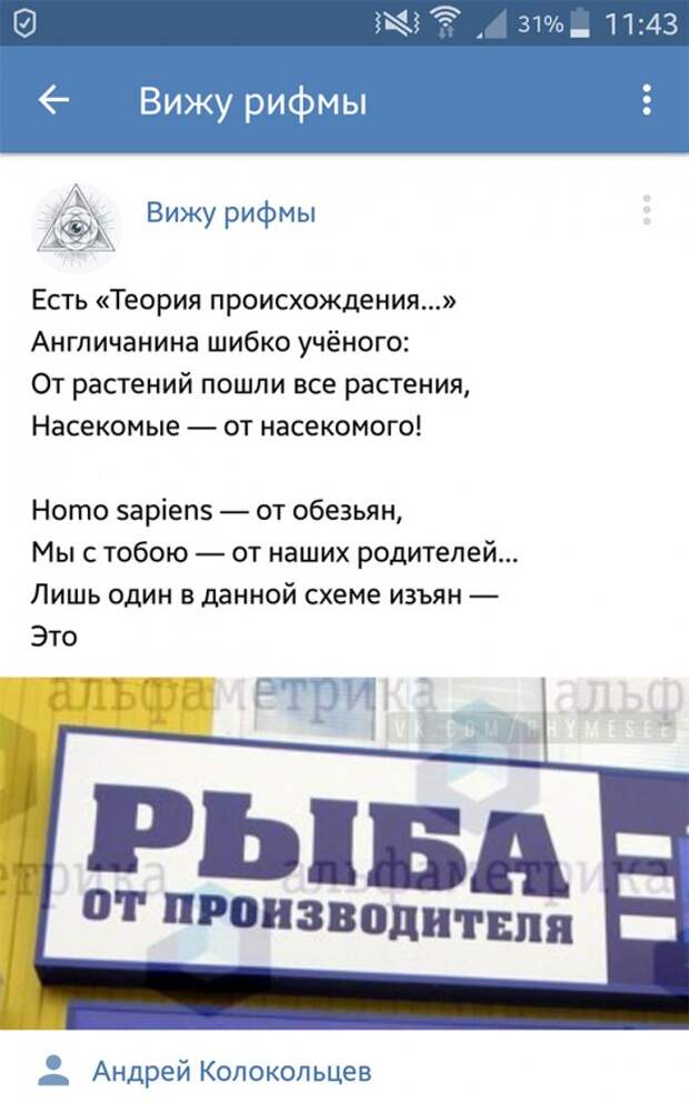 Позитивные картинки в рифму (17 смешных фото) Позитивные картинки в рифму (17 смешных фото)