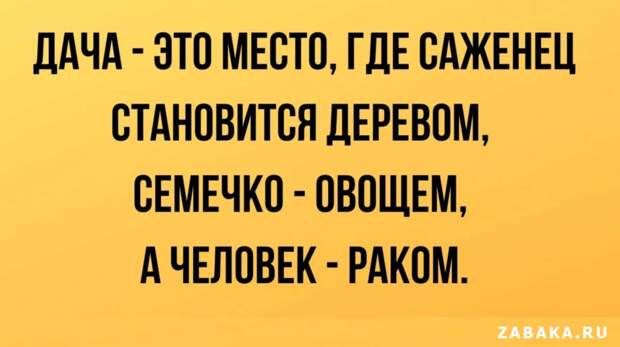 анекдоты анекдоты
