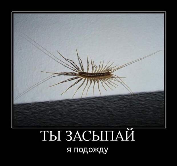 Демотиваторы (30 фото)