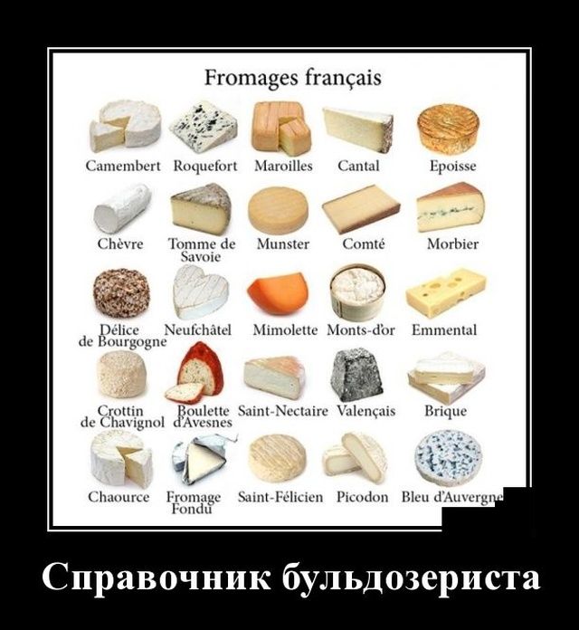 demotivatory-demotivator-smeshnye-demotivatory-demotivator-so-smyslom