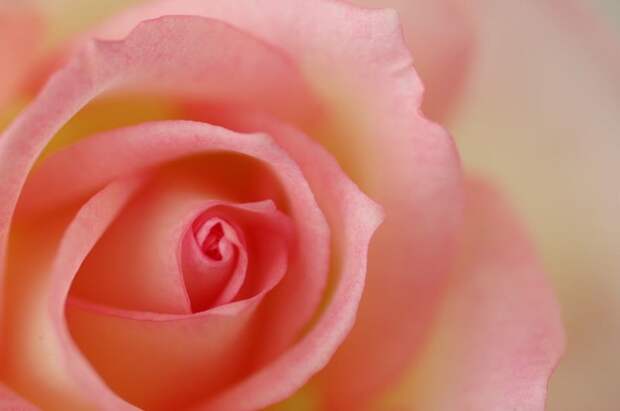 Есть только миг между прошлым и будущем... Есть только миг между прошлым и будущем...