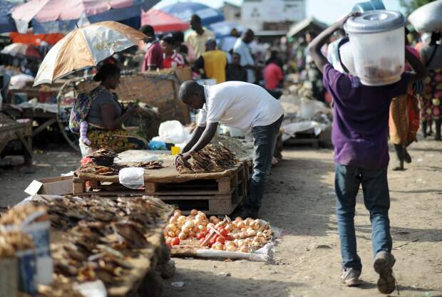 Побывавший в Африке россиянин назвал правила для возвращения оттуда живым и с паспортом
