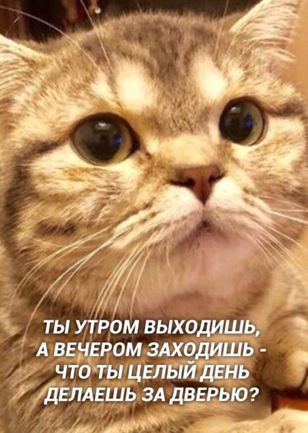 1572379511_kek-17.jpg