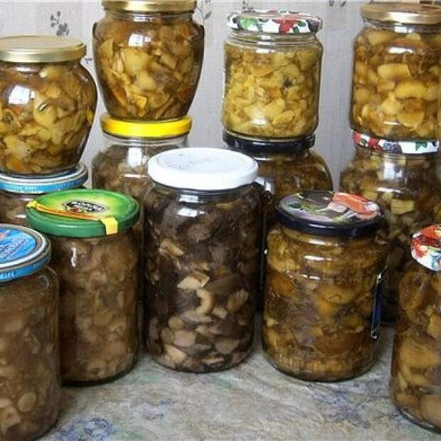 Маринованные маслята