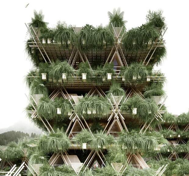 Фантастический многоэтажный «дом на дереве» из бамбука дом, интересное, китай