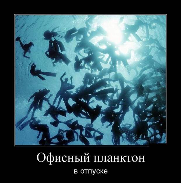 Демотиваторы (30 фото)
