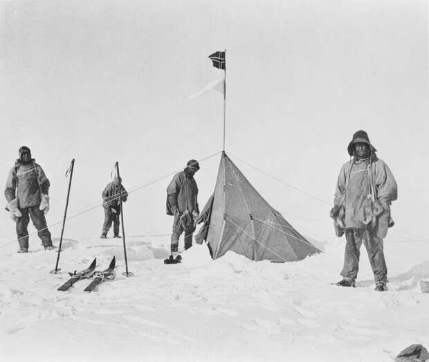 Трагедия гонки к Южному полюсу: Амундсен против Скотта Амундсен, антарктида, интересные истории, исторические факты, скотт, южный полюс