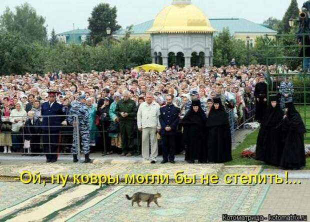 Котоматрицы (картинки с надписями)